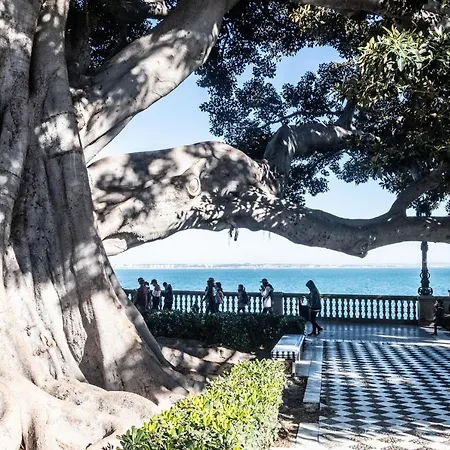 Lejlighed El De La Artesana